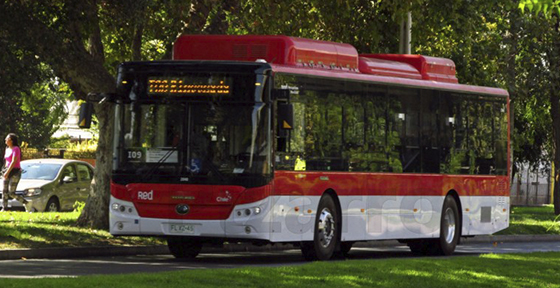 Tras seis meses de operación, buses eléctricos de Red completan más de 6,5 millones de viajes