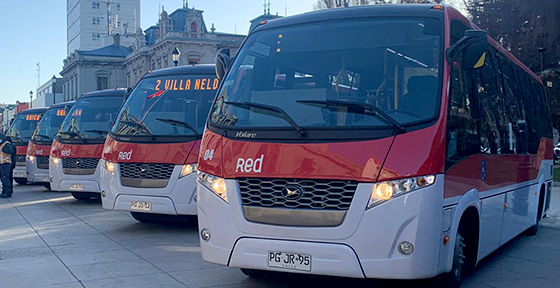 Con 70 nuevos buses comienza Red Punta Arenas