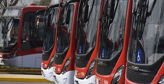 Transporte Público Metropolitano alcanza histórica alza en evaluación y usuarios valoran incorporación de buses Red